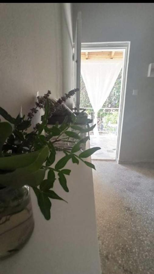 Αγρόκτημα Χελωναριά - Agroktima Chelonaria Hostel Chrani Ngoại thất bức ảnh