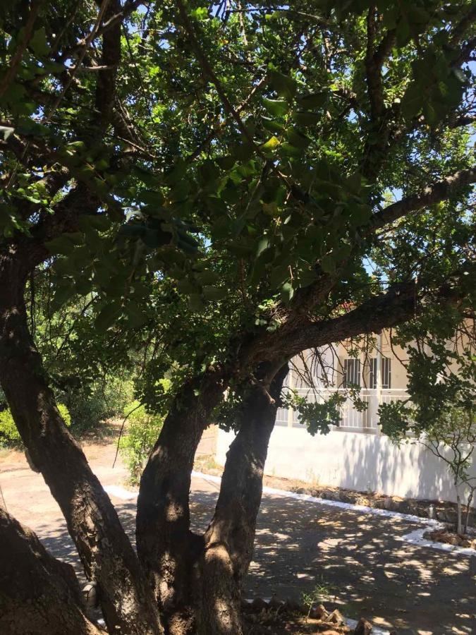 Αγρόκτημα Χελωναριά - Agroktima Chelonaria Hostel Chrani Ngoại thất bức ảnh