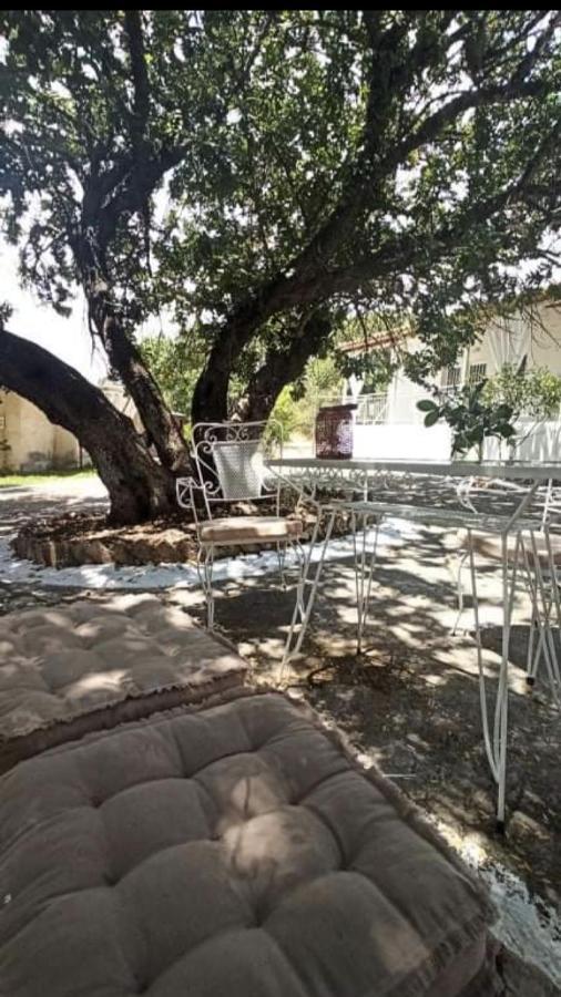 Αγρόκτημα Χελωναριά - Agroktima Chelonaria Hostel Chrani Ngoại thất bức ảnh