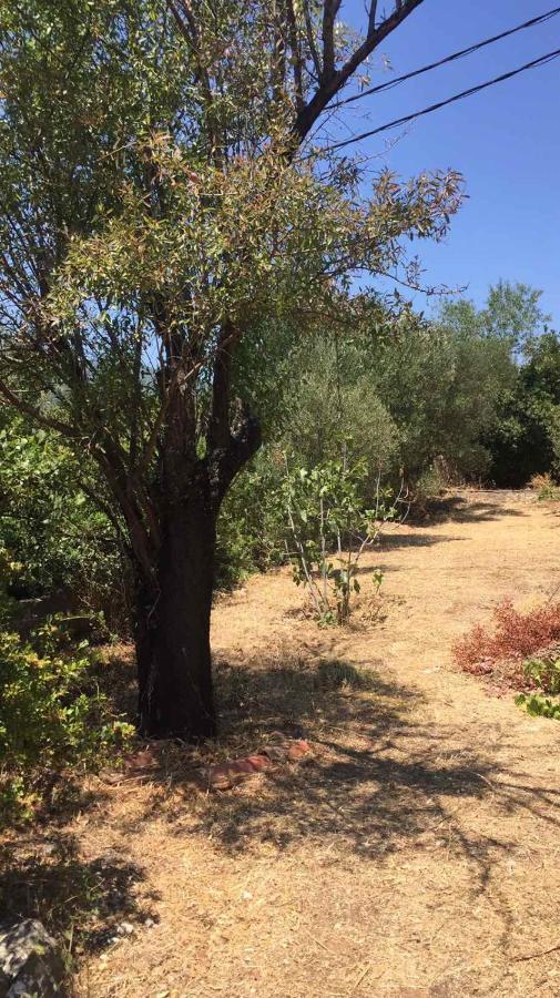 Αγρόκτημα Χελωναριά - Agroktima Chelonaria Hostel Chrani Ngoại thất bức ảnh
